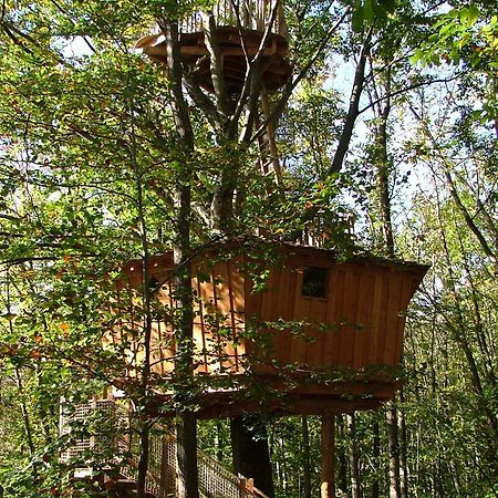 Les Cabanes De Fontfroide Saint-Antoine  المظهر الخارجي الصورة