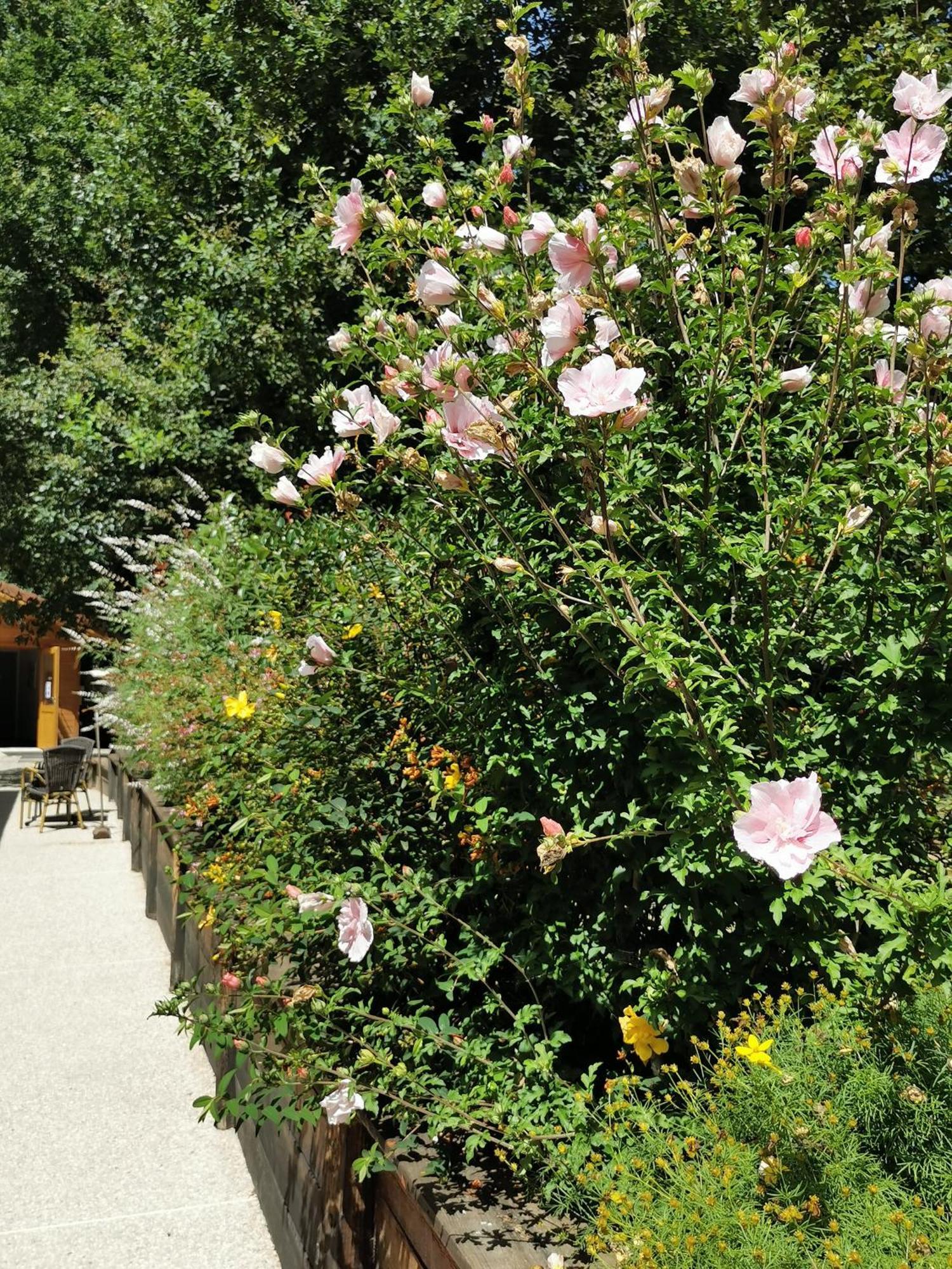 Les Cabanes De Fontfroide Saint-Antoine  المظهر الخارجي الصورة